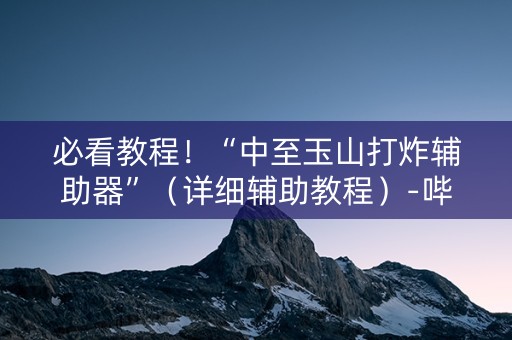 必看教程！“中至玉山打炸辅助器”（详细辅助教程）-哔哩哔哩