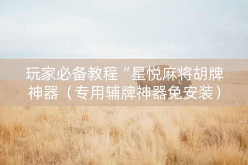 玩家必备教程“星悦麻将胡牌神器（专用辅牌神器免安装）