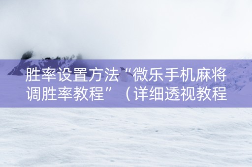 胜率设置方法“微乐手机麻将调胜率教程”（详细透视教程）-哔哩哔哩