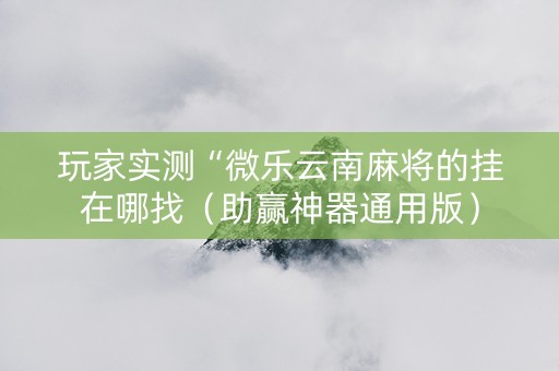 玩家实测“微乐云南麻将的挂在哪找（助赢神器通用版）