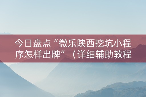 今日盘点“微乐陕西挖坑小程序怎样出牌”（详细辅助教程）-哔哩哔哩