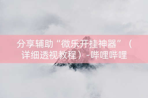 分享辅助“微乐开挂神器”（详细透视教程）-哔哩哔哩