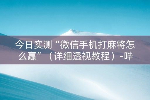 今日实测“微信手机打麻将怎么赢”（详细透视教程）-哔哩哔哩