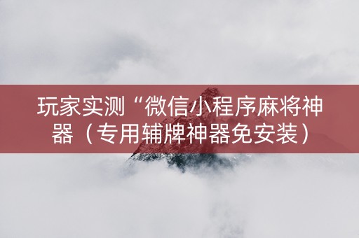 玩家实测“微信小程序麻将神器（专用辅牌神器免安装）