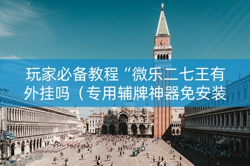 玩家必备教程“微乐二七王有外挂吗（专用辅牌神器免安装）