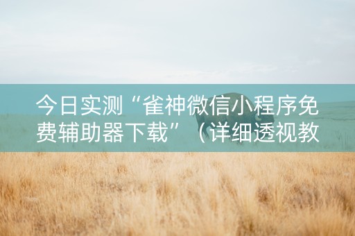 今日实测“雀神微信小程序免费辅助器下载”（详细透视教程）-哔哩哔哩