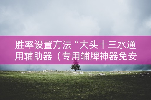 胜率设置方法“大头十三水通用辅助器（专用辅牌神器免安装）