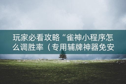 玩家必看攻略“雀神小程序怎么调胜率（专用辅牌神器免安装）