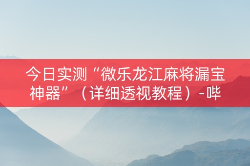 今日实测“微乐龙江麻将漏宝神器”（详细透视教程）-哔哩哔哩
