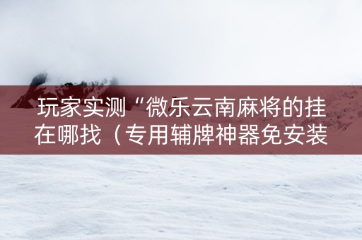 玩家实测“微乐云南麻将的挂在哪找（专用辅牌神器免安装）