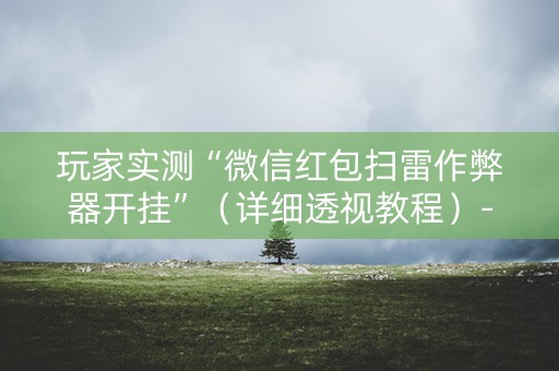 玩家实测“微信红包扫雷作弊器开挂”（详细透视教程）-哔哩哔哩