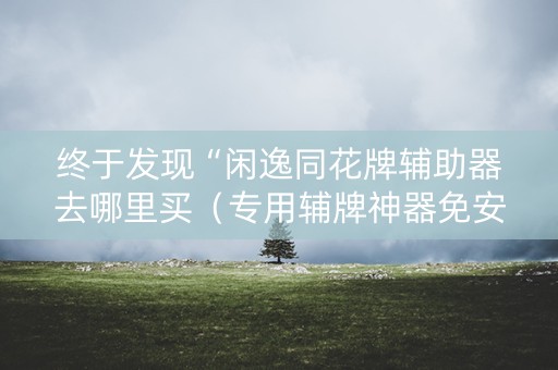 终于发现“闲逸同花牌辅助器去哪里买（专用辅牌神器免安装）