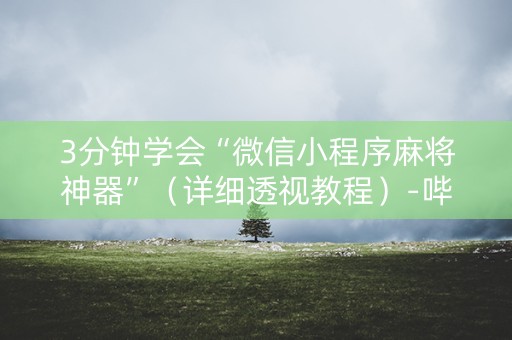 3分钟学会“微信小程序麻将神器”（详细透视教程）-哔哩哔哩