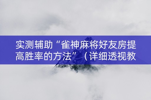 实测辅助“雀神麻将好友房提高胜率的方法”（详细透视教程）-哔哩哔哩