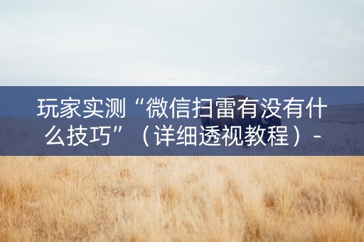 玩家实测“微信扫雷有没有什么技巧”（详细透视教程）-哔哩哔哩