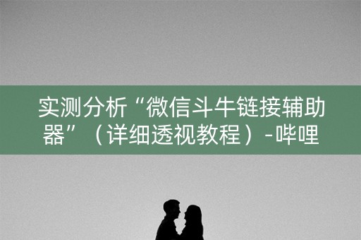 实测分析“微信斗牛链接辅助器”（详细透视教程）-哔哩哔哩