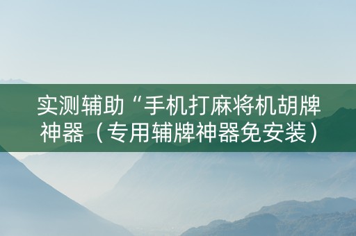 实测辅助“手机打麻将机胡牌神器（专用辅牌神器免安装）