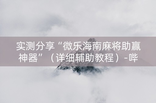 实测分享“微乐海南麻将助赢神器”（详细辅助教程）-哔哩哔哩