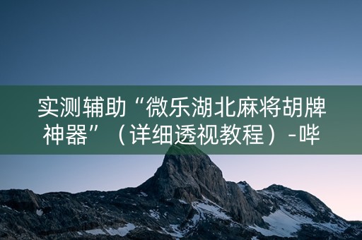 实测辅助“微乐湖北麻将胡牌神器”（详细透视教程）-哔哩哔哩