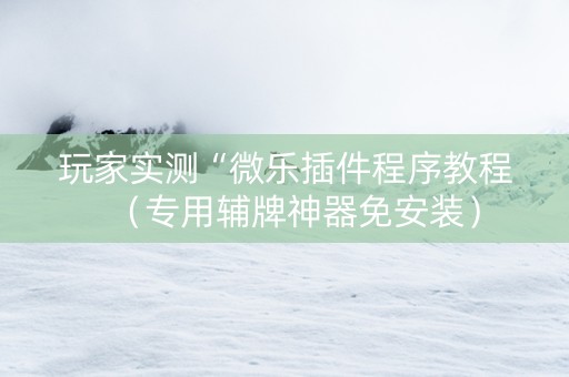 玩家实测“微乐插件程序教程（专用辅牌神器免安装）