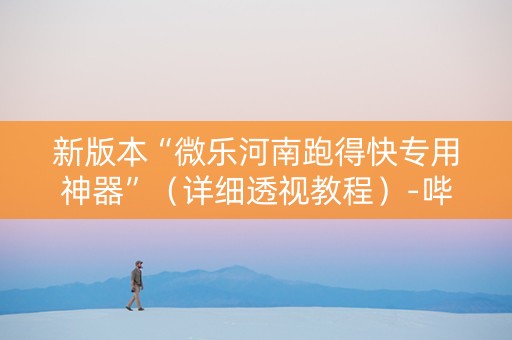 新版本“微乐河南跑得快专用神器”（详细透视教程）-哔哩哔哩