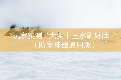 玩家实测“大头十三水刷好牌（助赢神器通用版）