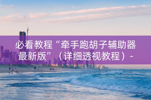 必看教程“牵手跑胡子辅助器最新版”（详细透视教程）-哔哩哔哩