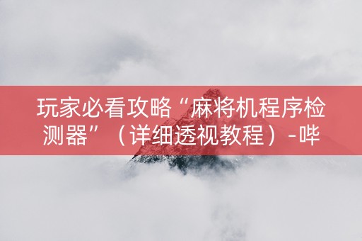玩家必看攻略“麻将机程序检测器”（详细透视教程）-哔哩哔哩
