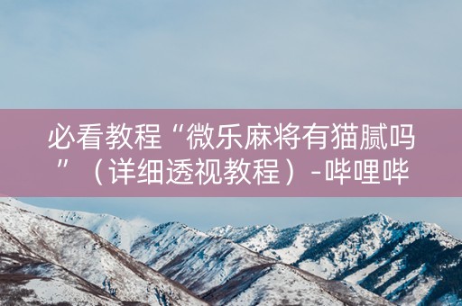 必看教程“微乐麻将有猫腻吗”（详细透视教程）-哔哩哔哩
