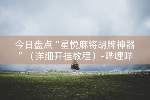 今日盘点“星悦麻将胡牌神器”（详细开挂教程）-哔哩哔哩