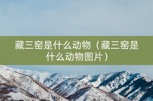 藏三窑是什么动物（藏三窑是什么动物图片）