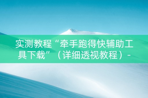 实测教程“牵手跑得快辅助工具下载”（详细透视教程）-哔哩哔哩