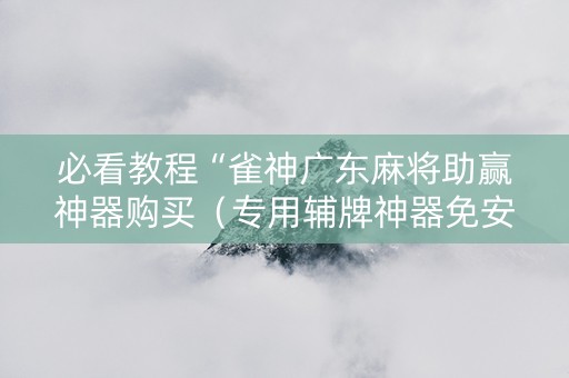 必看教程“雀神广东麻将助赢神器购买（专用辅牌神器免安装）