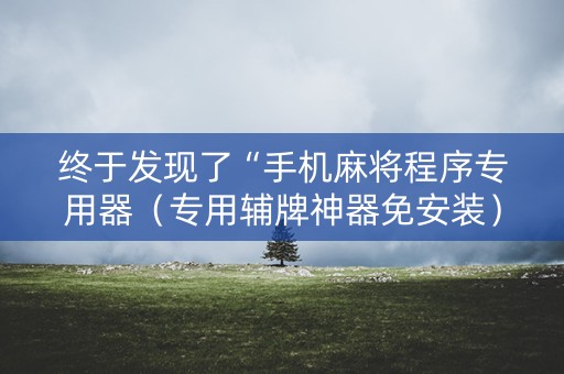 终于发现了“手机麻将程序专用器（专用辅牌神器免安装）