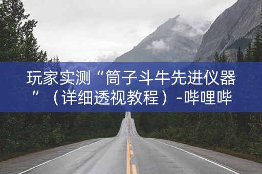 玩家实测“筒子斗牛先进仪器”（详细透视教程）-哔哩哔哩