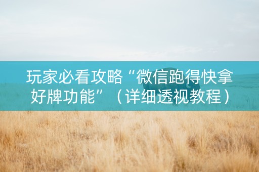 玩家必看攻略“微信跑得快拿好牌功能”（详细透视教程）-哔哩哔哩