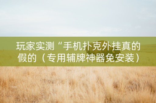 玩家实测“手机扑克外挂真的假的（专用辅牌神器免安装）