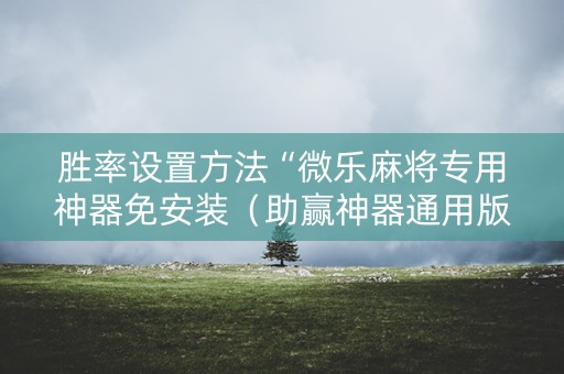 胜率设置方法“微乐麻将专用神器免安装（助赢神器通用版）