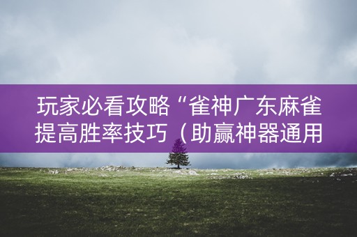 玩家必看攻略“雀神广东麻雀提高胜率技巧（助赢神器通用版）