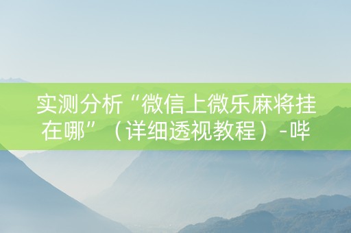 实测分析“微信上微乐麻将挂在哪”（详细透视教程）-哔哩哔哩