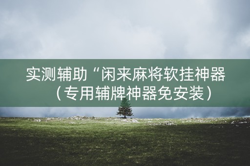 实测辅助“闲来麻将软挂神器（专用辅牌神器免安装）