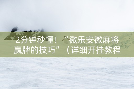2分钟秒懂！“微乐安徽麻将赢牌的技巧”（详细开挂教程）-哔哩哔哩
