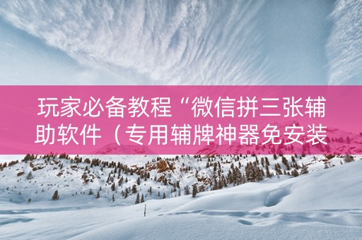 玩家必备教程“微信拼三张辅助软件（专用辅牌神器免安装）