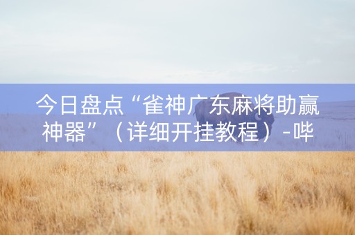 今日盘点“雀神广东麻将助赢神器”（详细开挂教程）-哔哩哔哩