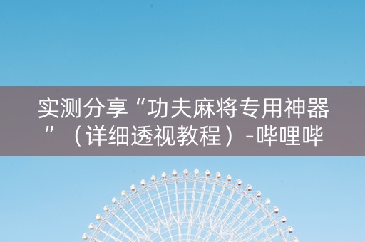 实测分享“功夫麻将专用神器”（详细透视教程）-哔哩哔哩