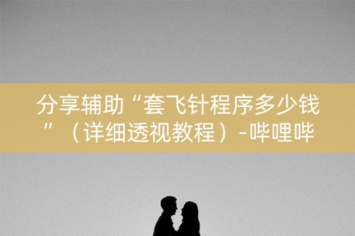 分享辅助“套飞针程序多少钱”（详细透视教程）-哔哩哔哩