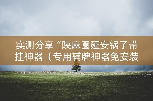 实测分享“陕麻圈延安锅子带挂神器（专用辅牌神器免安装）