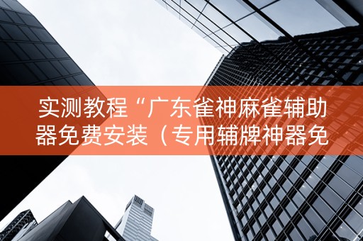 实测教程“广东雀神麻雀辅助器免费安装（专用辅牌神器免安装）