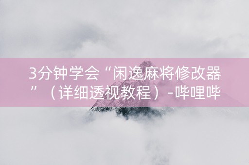 3分钟学会“闲逸麻将修改器”（详细透视教程）-哔哩哔哩