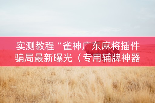 实测教程“雀神广东麻将插件骗局最新曝光（专用辅牌神器免安装）